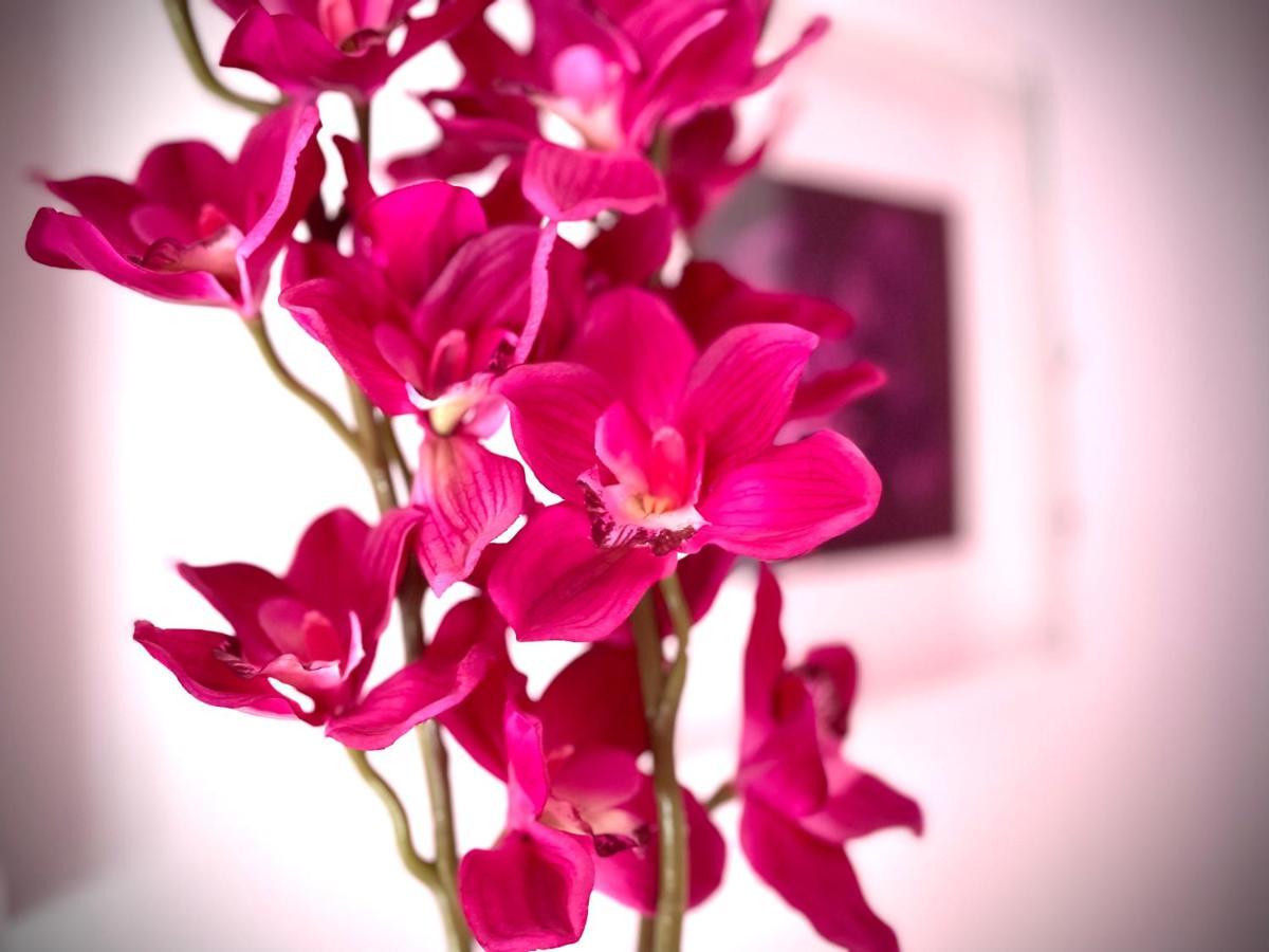 Apartment San Nicolas *
